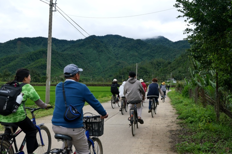 Alternative Education Movement